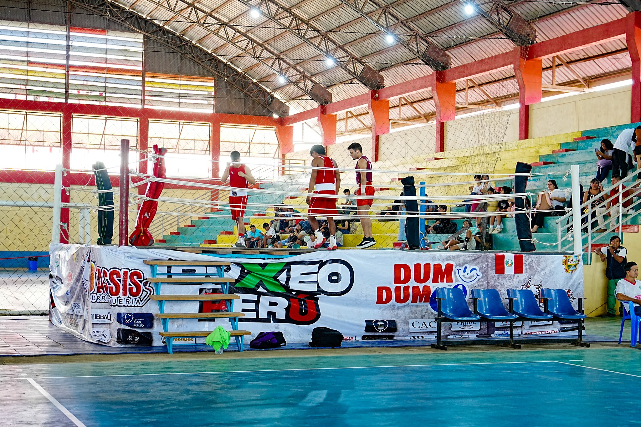 Boxeo