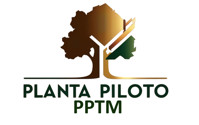 Planta Piloto